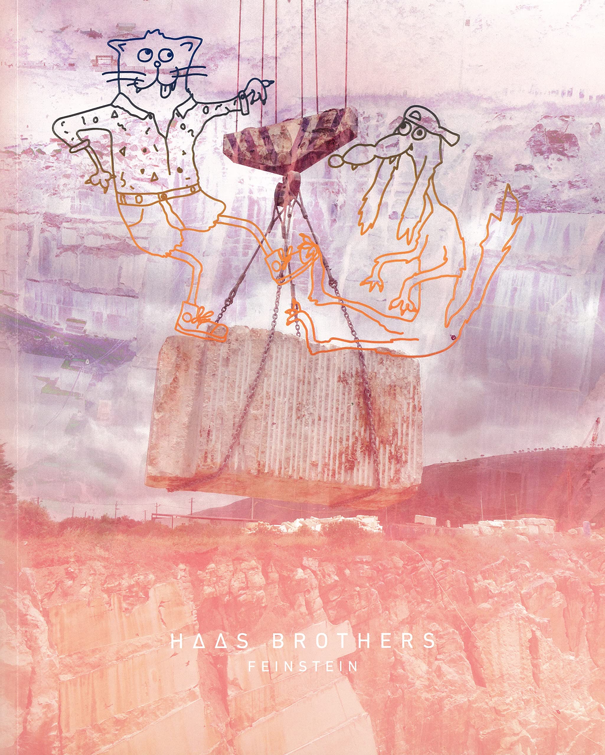 HAAS BROTHERS: FEINSTEIN