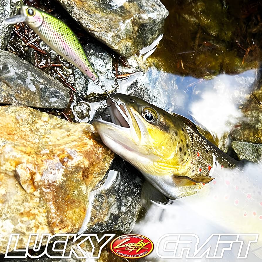 ラッキー 楽天市場】LUCKY CRAFT【ラッキークラフト】ベビーポッパー50