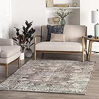 Algopix Similar Product 10 - nuLOOM Vintage Corene Flora Area Rug