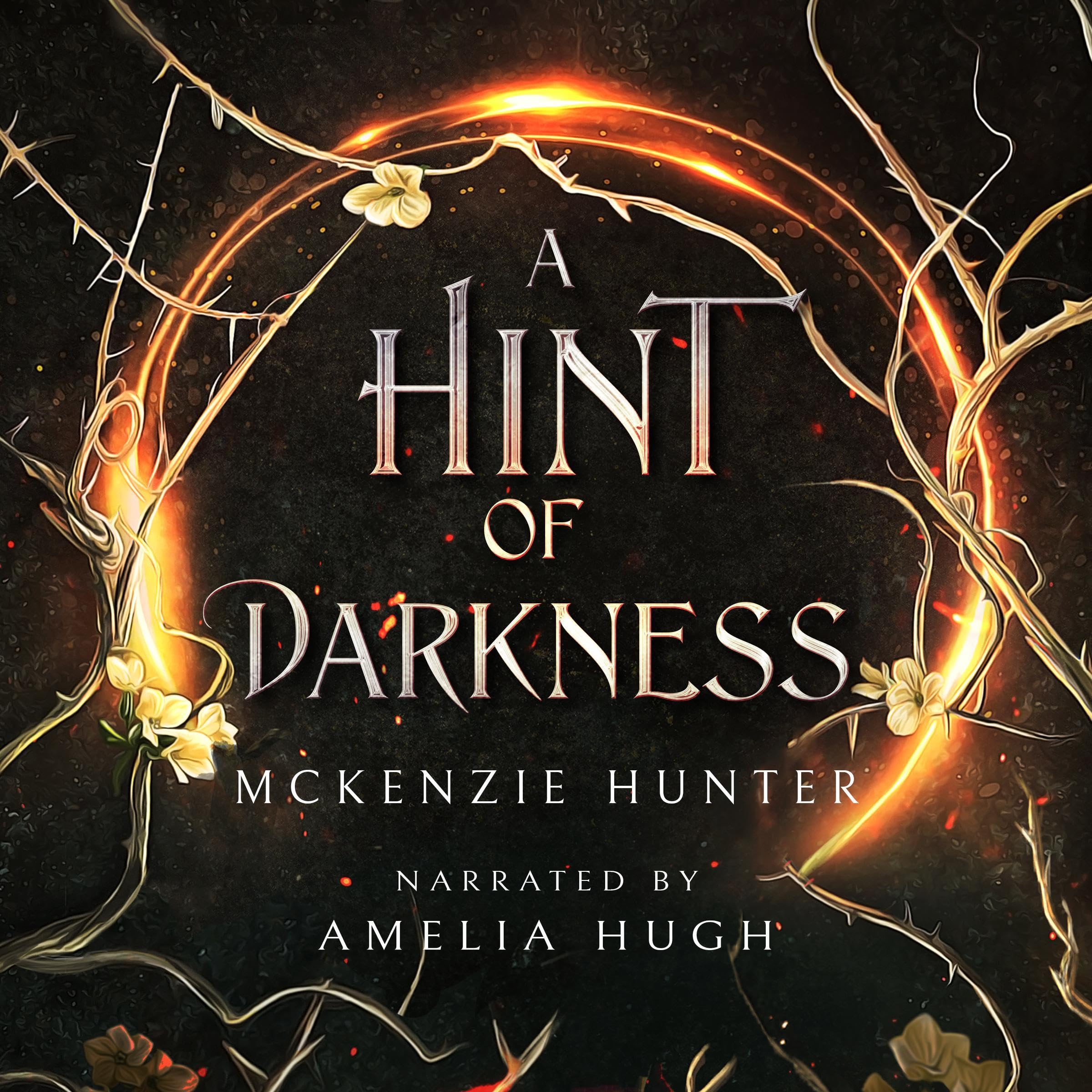 Cover art for A Hint of Darkness