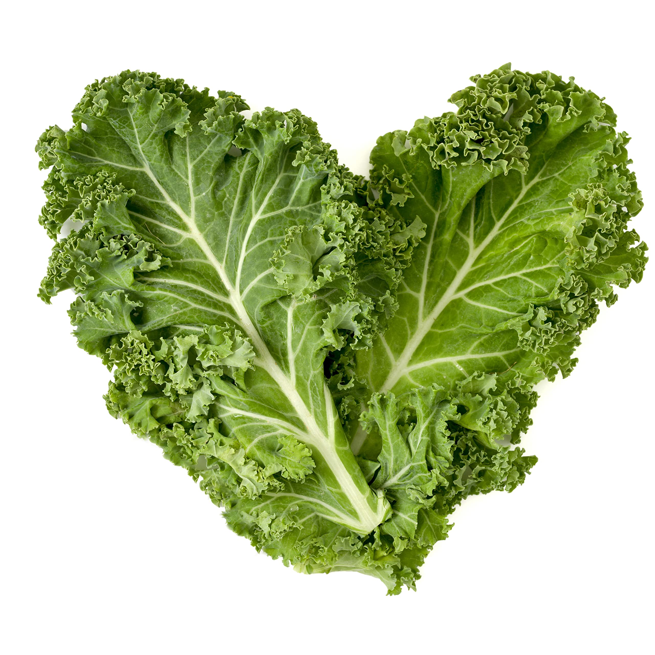 Fresh Kale - Hydroponically Grown (approx.100-125 gm) Pack