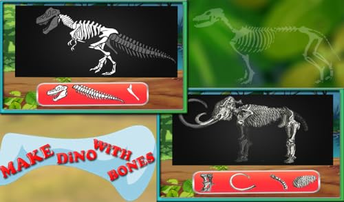 cuidados de vida do dino - little dino