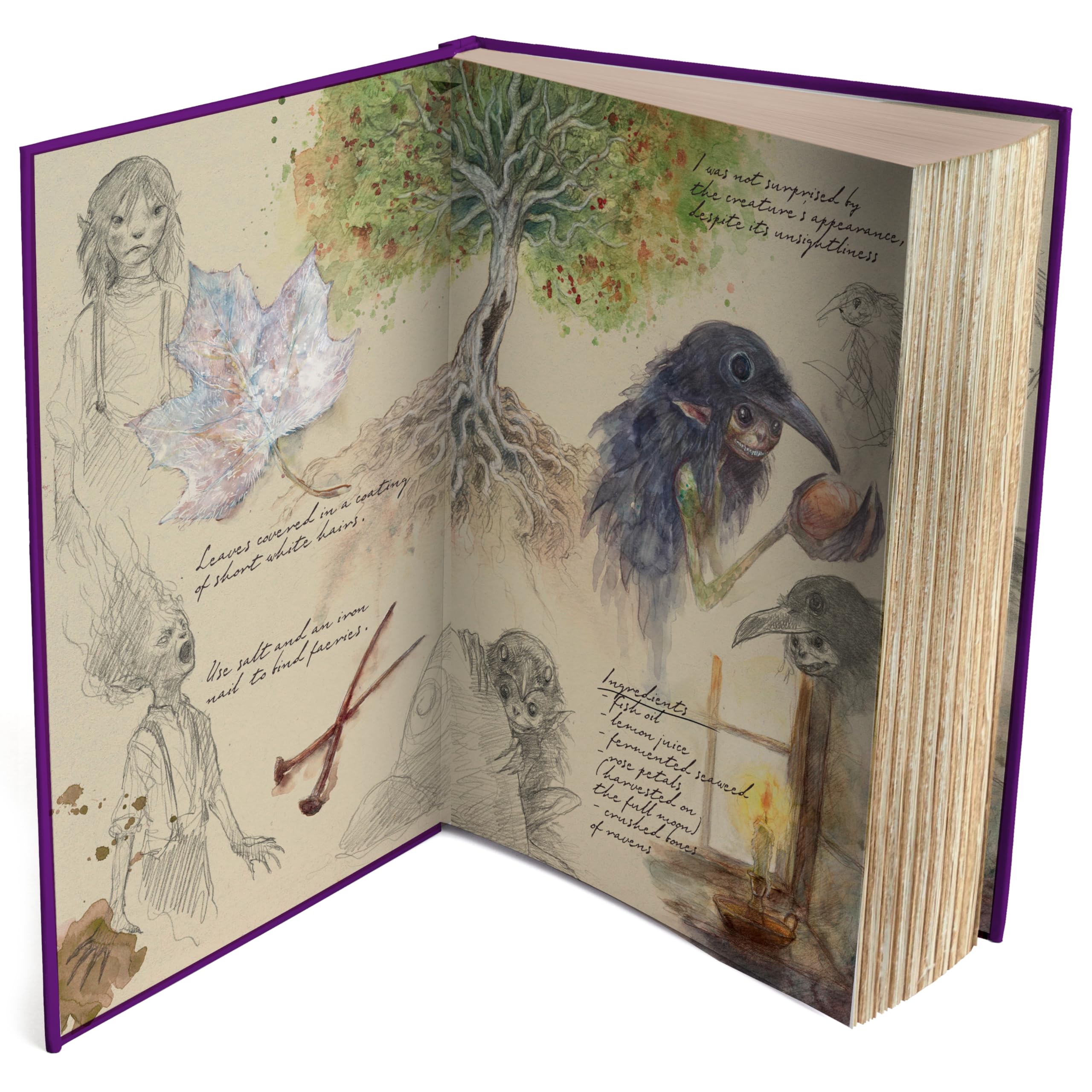 Emily Wilde's Encyclopaedia of Faeries (Deluxe Edition)