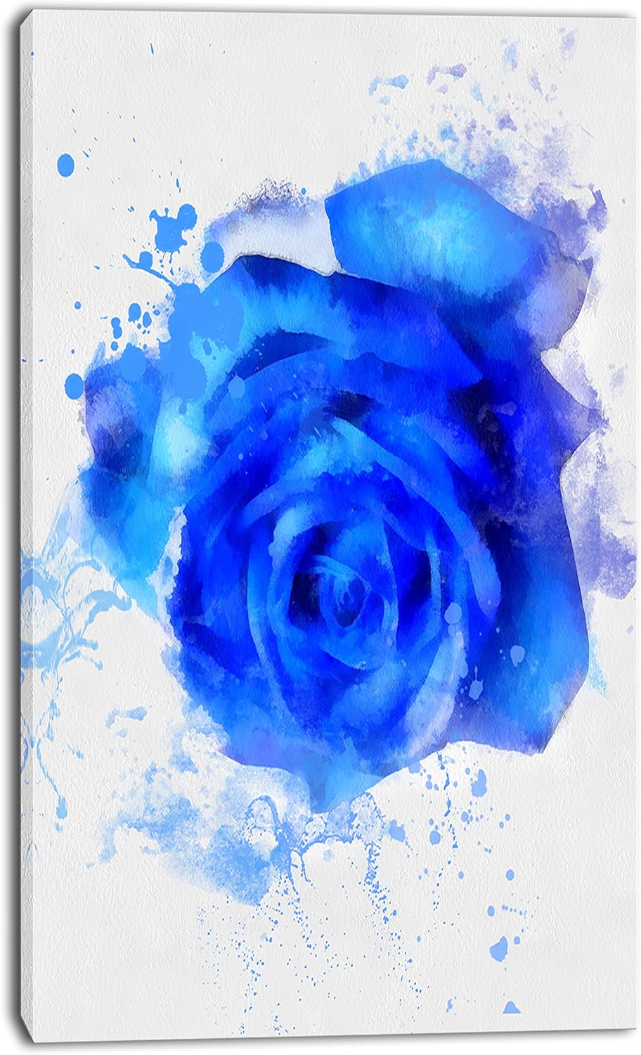 https://m.media-amazon.com/images/I/91KqL-YDwDL._AC_SL1500_.jpg