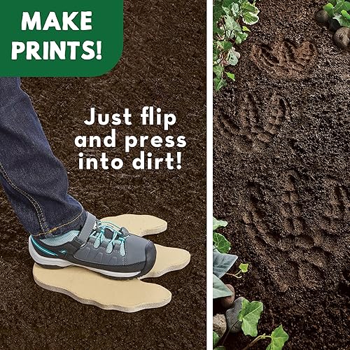 Miniatura 5 de MindWare pinta tu propia piedra escalonada, Huella de dinosaurio