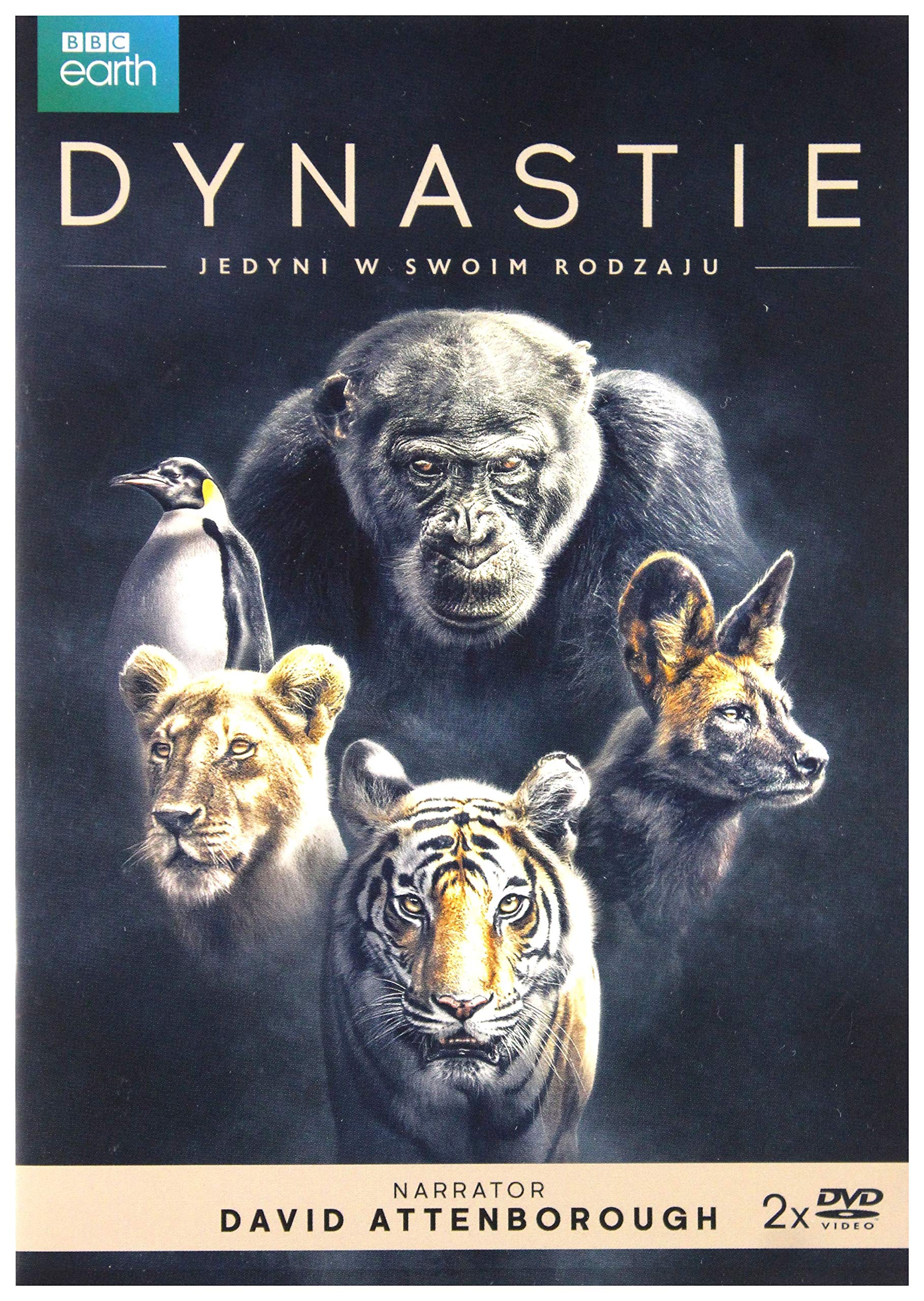 Dynasties 2DVD vive la emoción de la fauna salvaje en esta obra maestra audiovisual bbc