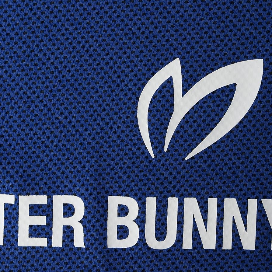 Amazon.co.jp: [マスターバニー] ユニセックス クールタオル (速