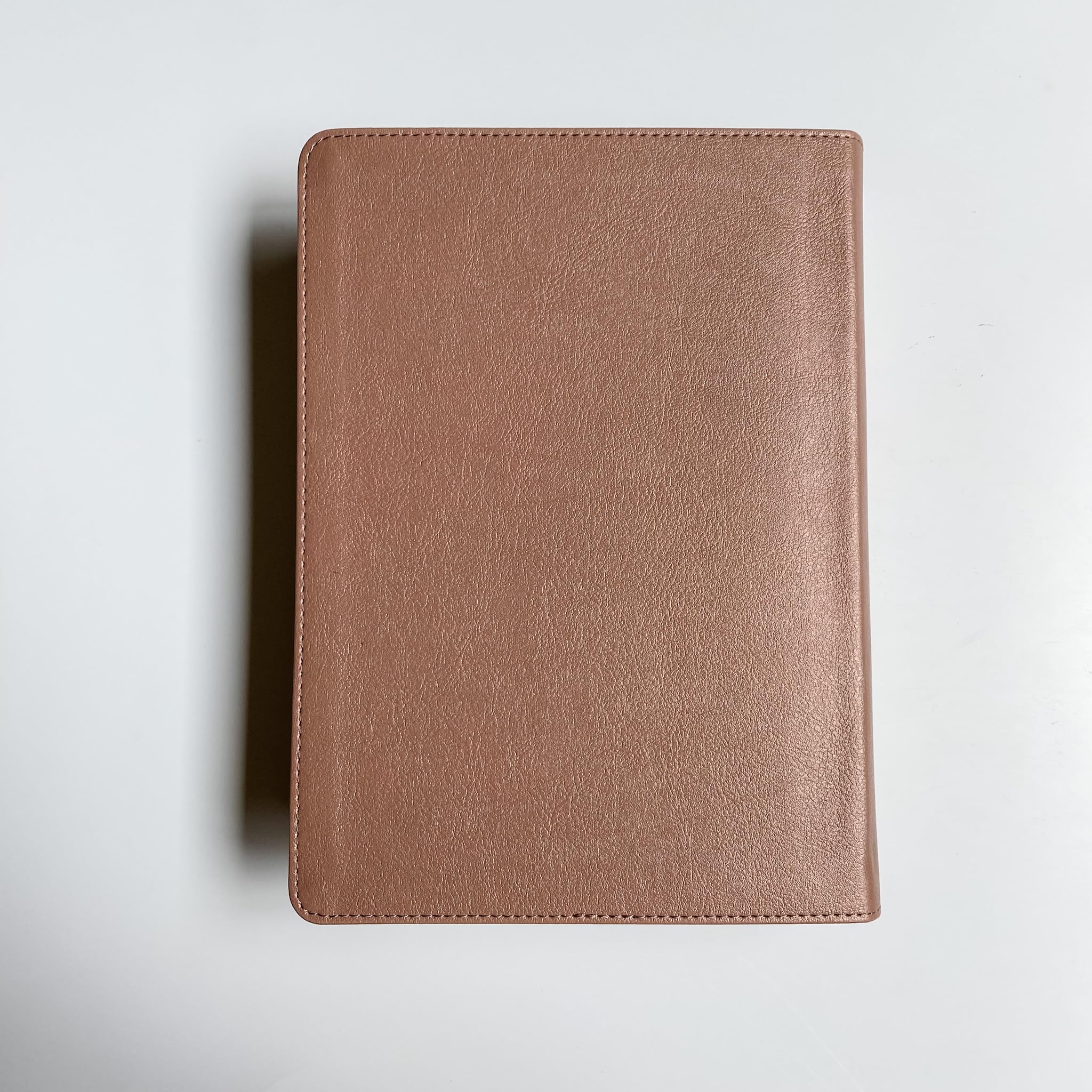 Personalized CSB She Reads Truth Bible, Rose Gold Color, Option to Customize with Hand Lettered Name, 9781535970990 - Image 6