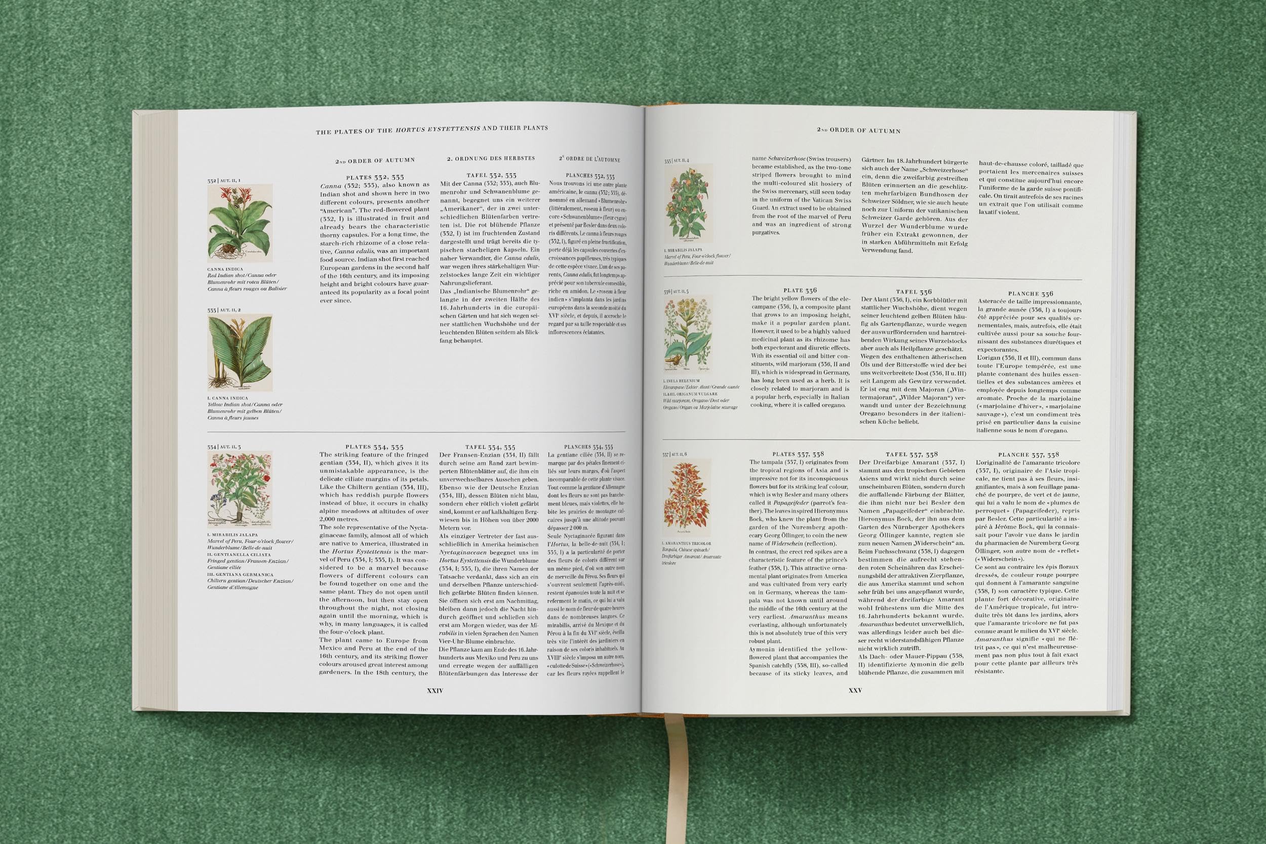 Basilius Besler: The Garden at Eichstätt: 1-3