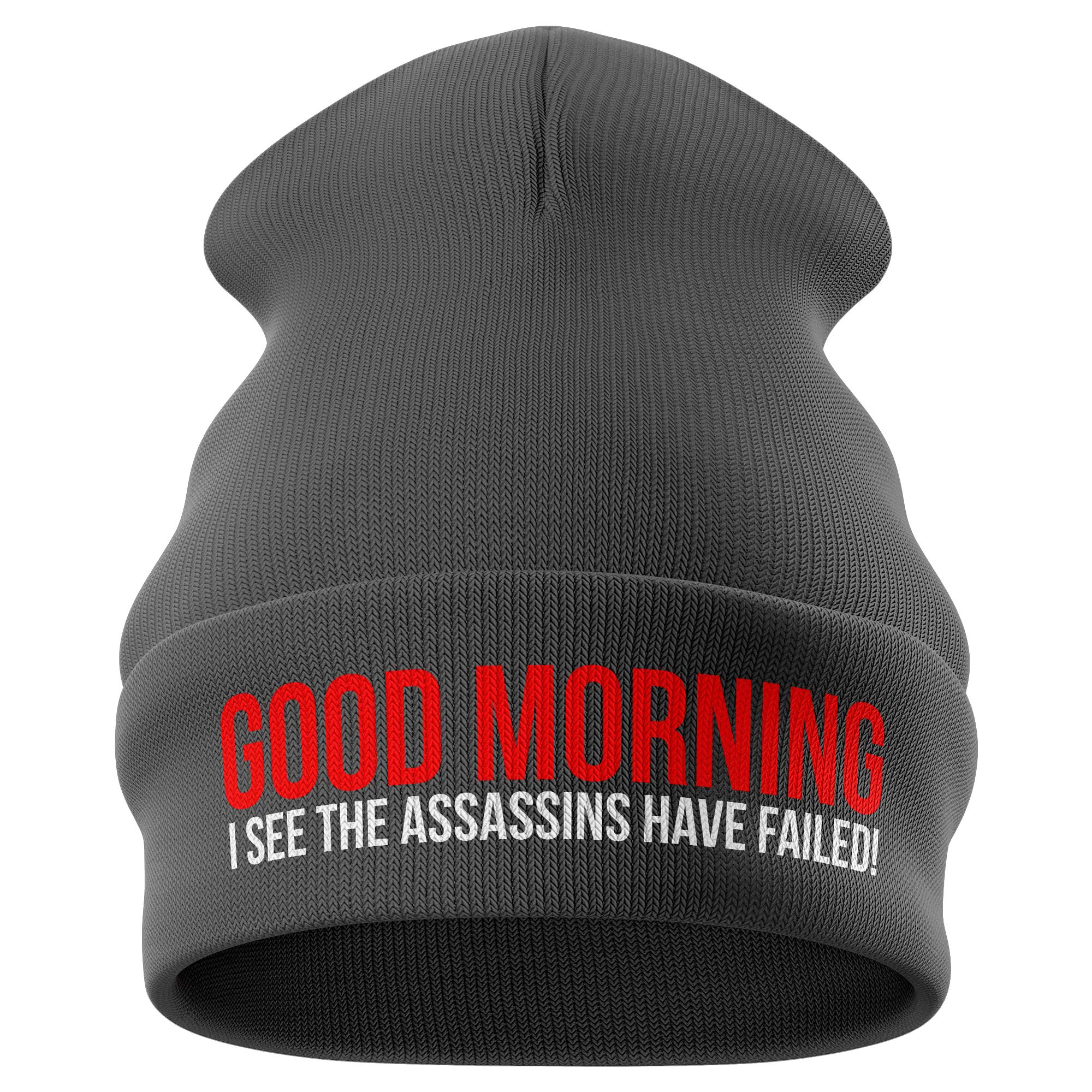 Purple Print HouseFunny Beanie Hat - I See The Assassins Have Failed - Novelty Winter Beanie Hat with Embroidered Slogan Geek Gift