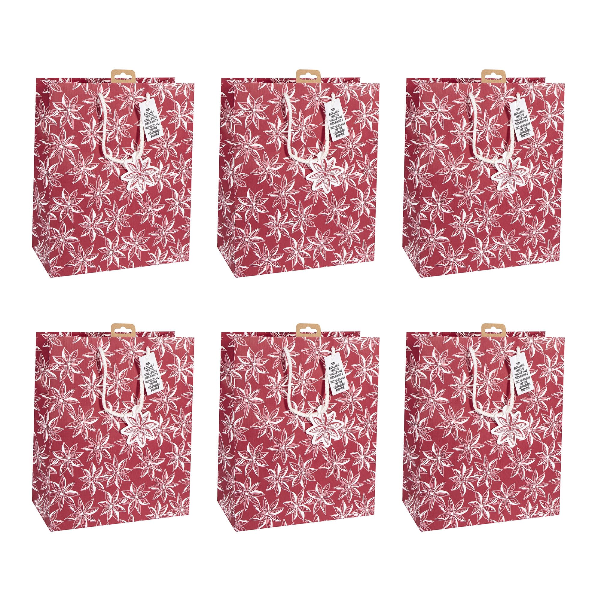 Clairefontaine X-32781-2Cpack - Set of 6 White Kraft Gift Bags - Large - 26,5x14x33 cm - 210g - Motif: Citrus fruits - Gift wrapping, Ideal for games, Puzzles