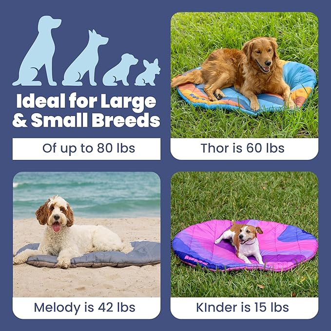 Cama para Perro Viaje Grande 42x30 Pulgadas Plegable Lavable miniatura 5