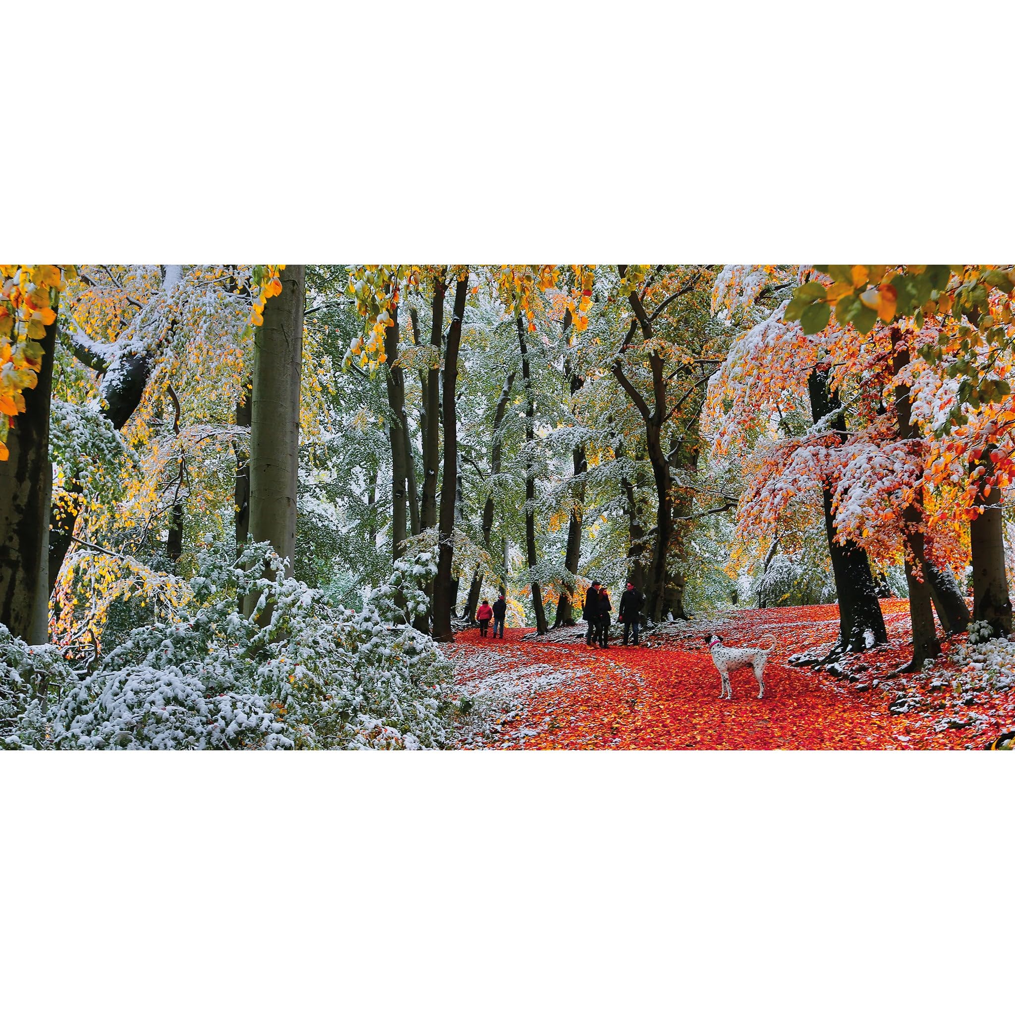Snow in Autumn - Image 2