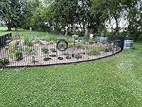 Review Image by Mike C. Mike C.