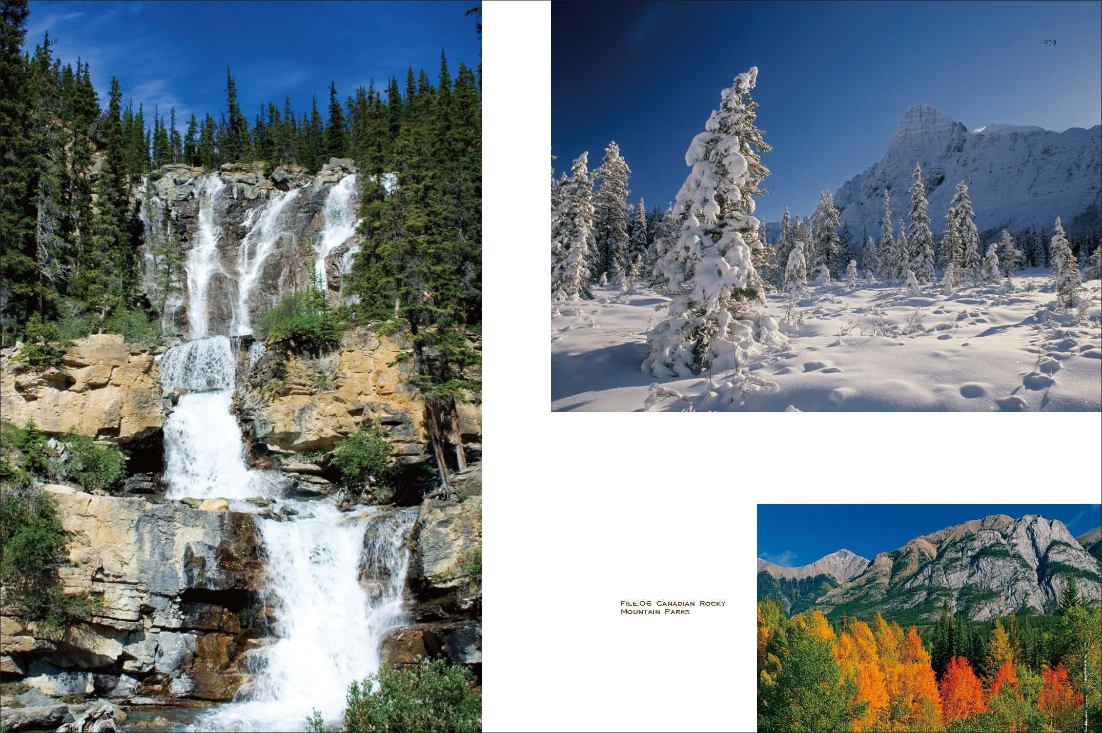 世界で一番美しい森への旅 配送料無料