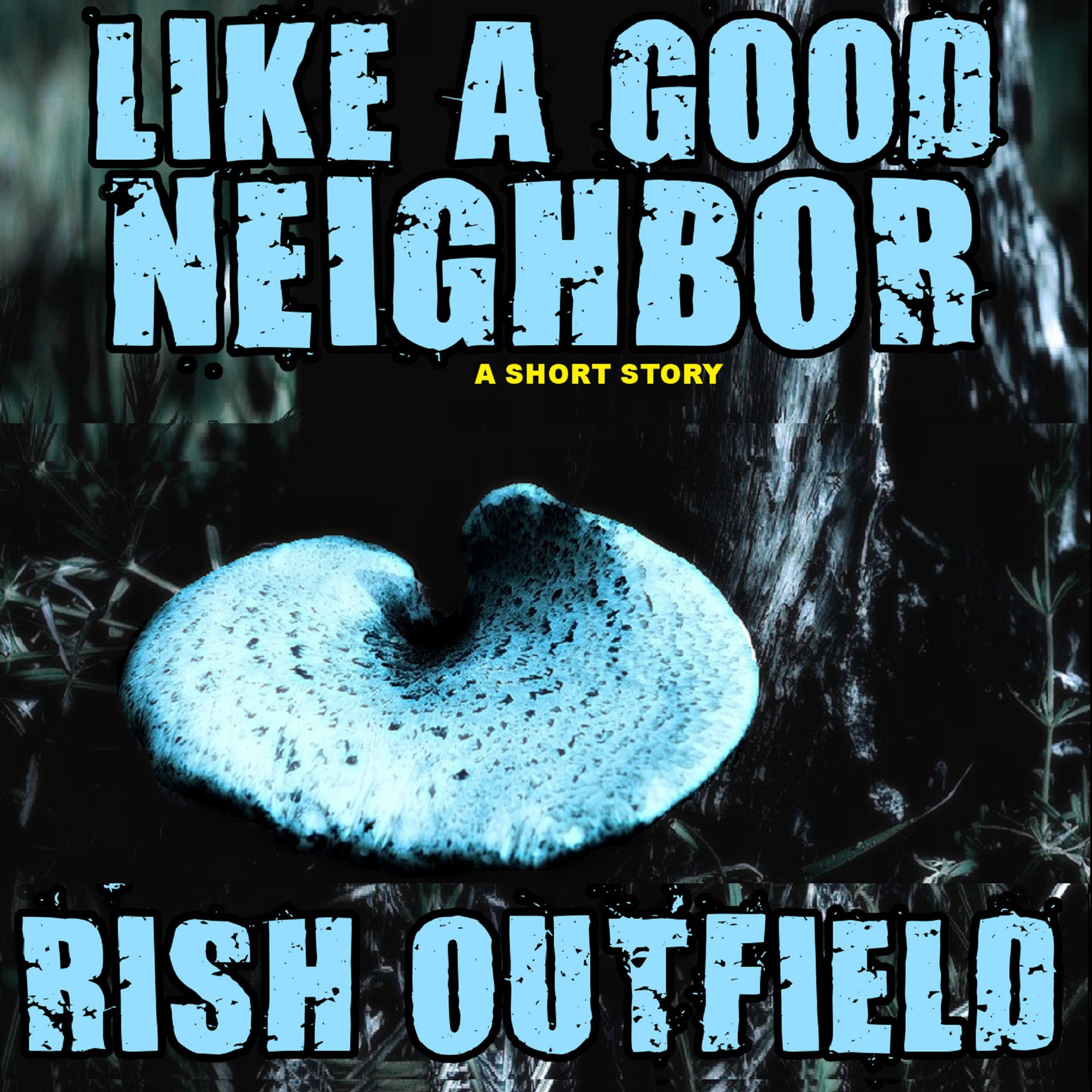 Cover art for Like a Good Neighbor