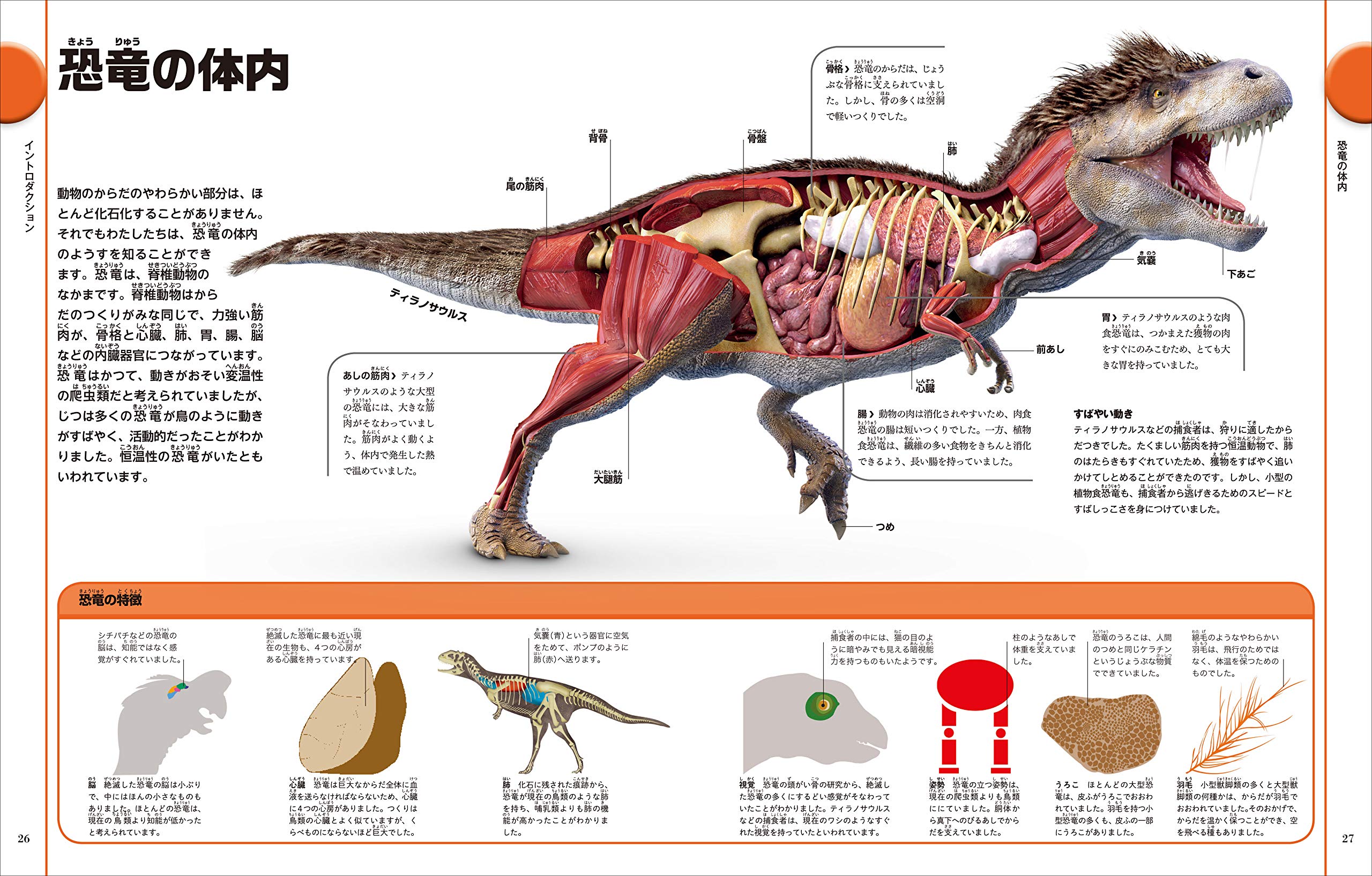 Amazon Co Jp 恐竜と古代の生き物図鑑 ジョン ウッドワード ダレン ナイシュ 田中 康平 田中 康平 喜多 直子 Japanese Books Amazon Co Jp 恐竜と古代の生き物図鑑 ジョン ウッドワード ダレン ナイシュ 田中 康平 田中 康平 喜多 直子 Japanese Books