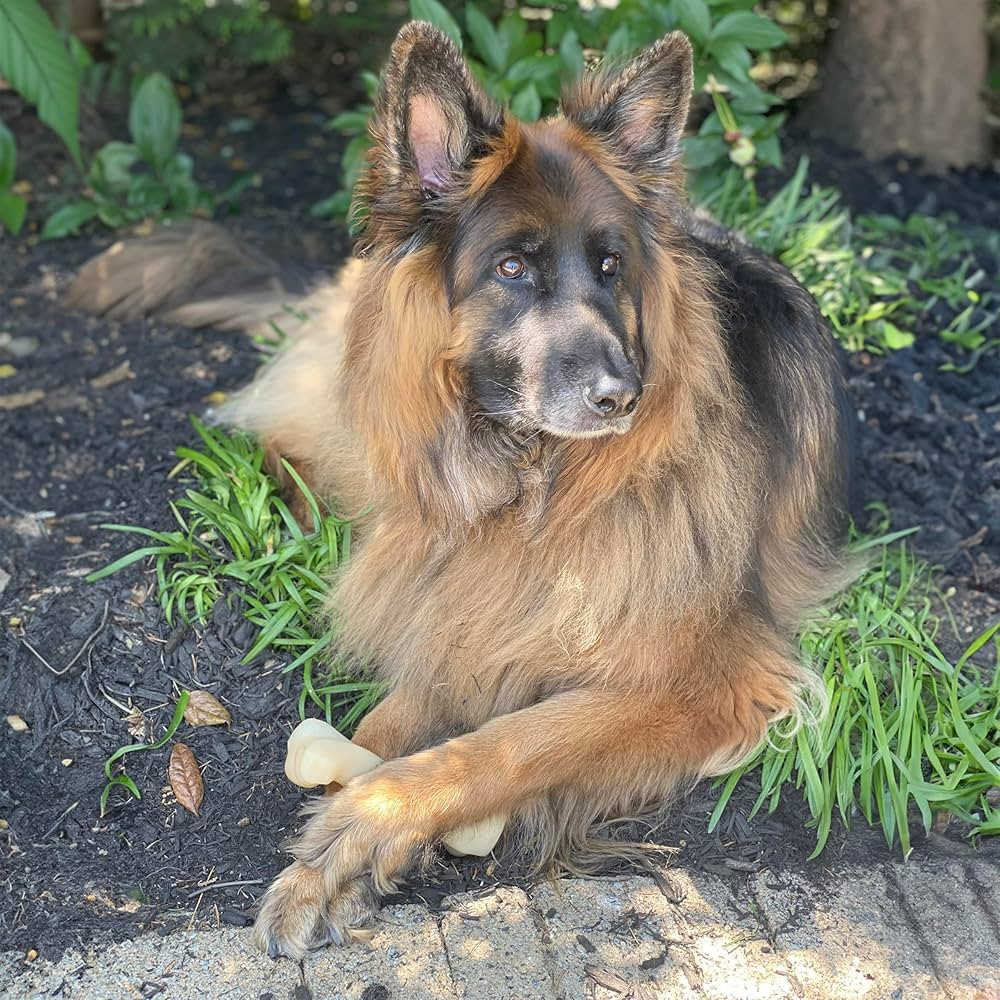 Amazon.com: Nylabone Big Chew Knuckle Bone Power Chew Toy