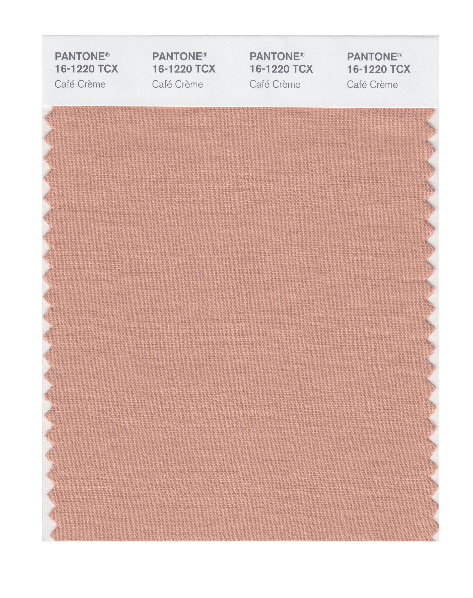 PANTONE Smart 16-1220X Color Swatch Card, Café Crème