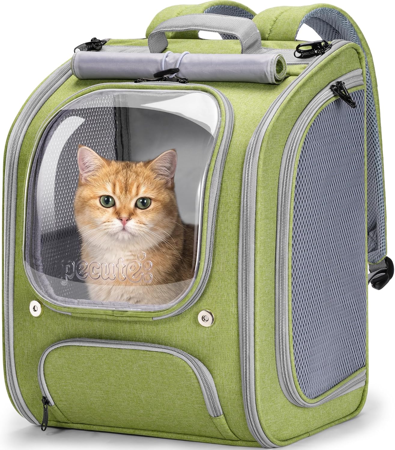 Pecute Cat Backpack Carrier,Large Space Cat Bubble Backpack,Light Green
