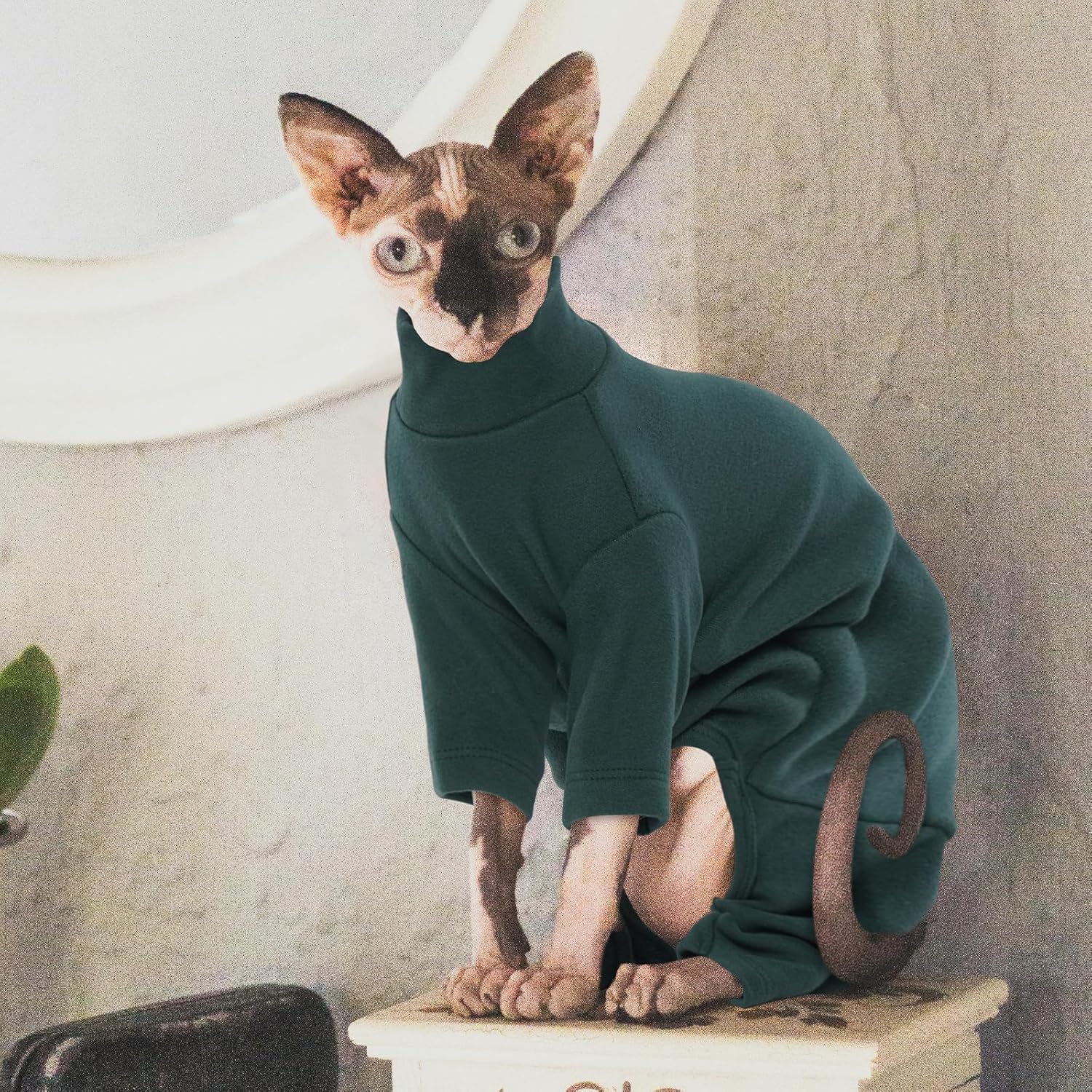 ROZKITCH Sphynx Cat Clothes, Breathable Soft Cat Jumpers for Cats Only, Coat with Four Legs, Warm Sweater T-Shirt Pajamas Jumpsuit Vest Cornish Rex Devon Rex Peterbald DarkGreen XXL