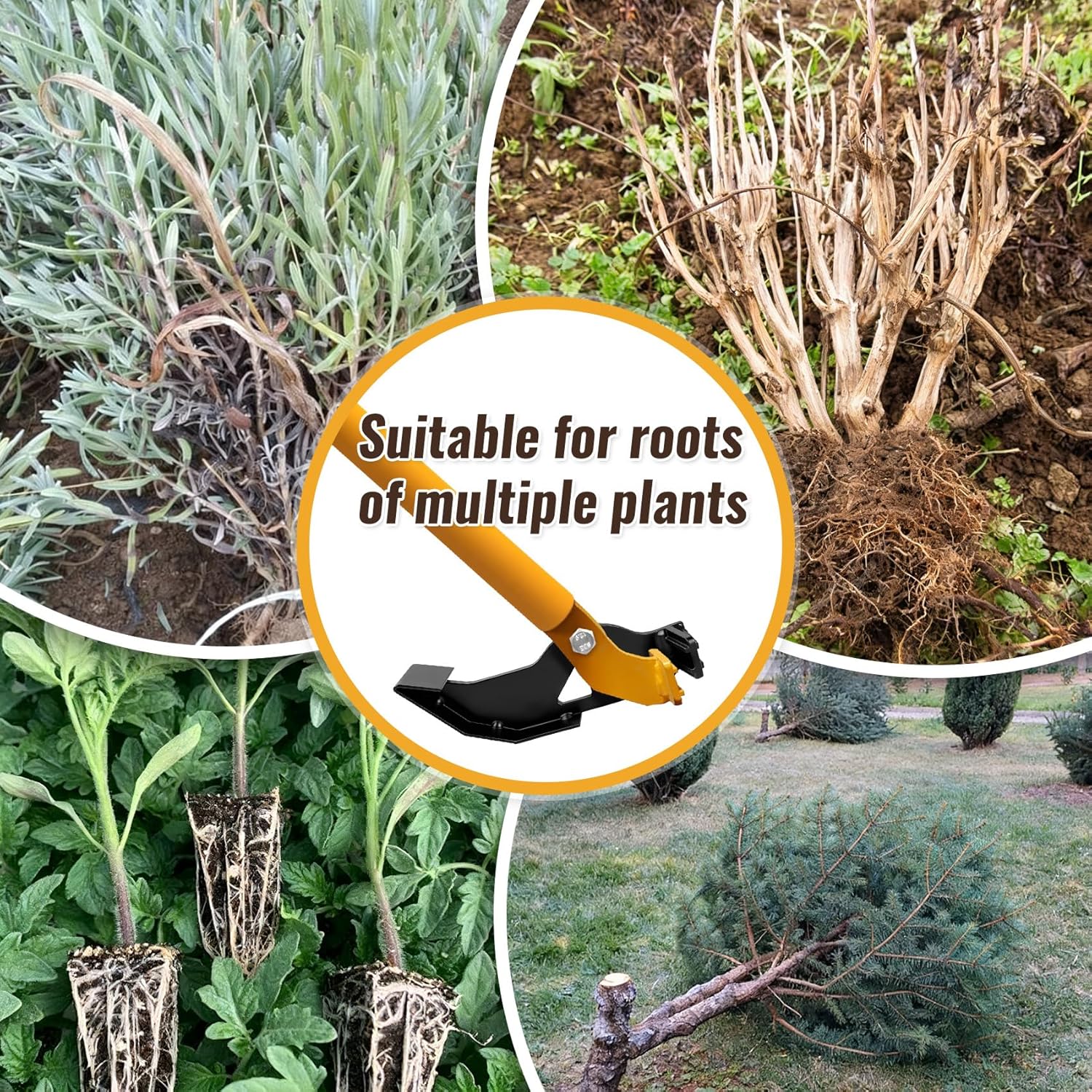 Sapling Puller for 1/4" to 2" Woody Stems, Heavy Duty Tree Puller&Brush Puller, High-Leverage Shrub Remover Tool, Buckthorn Puller for Invasive Plant Eradication, Small Tree Puller for Vines & Thorns