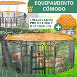 Ver la foto 3