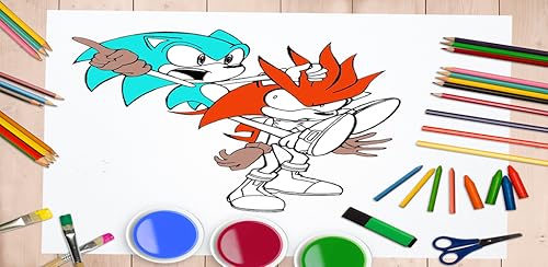 the hedgehog coloring book