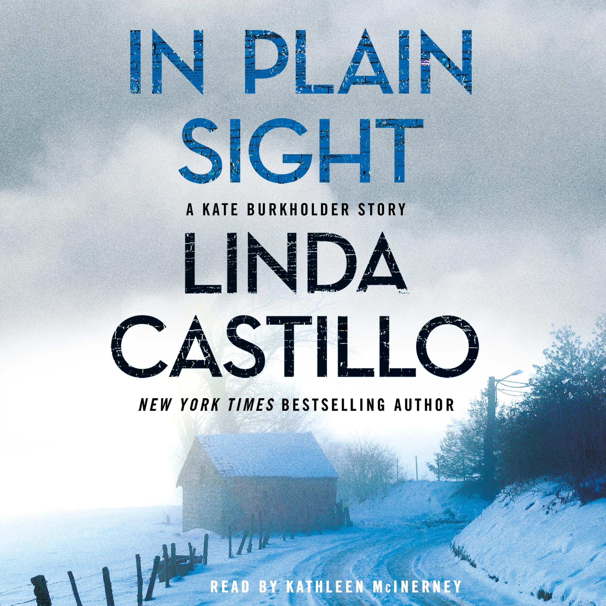 Cover art for In Plain Sight
