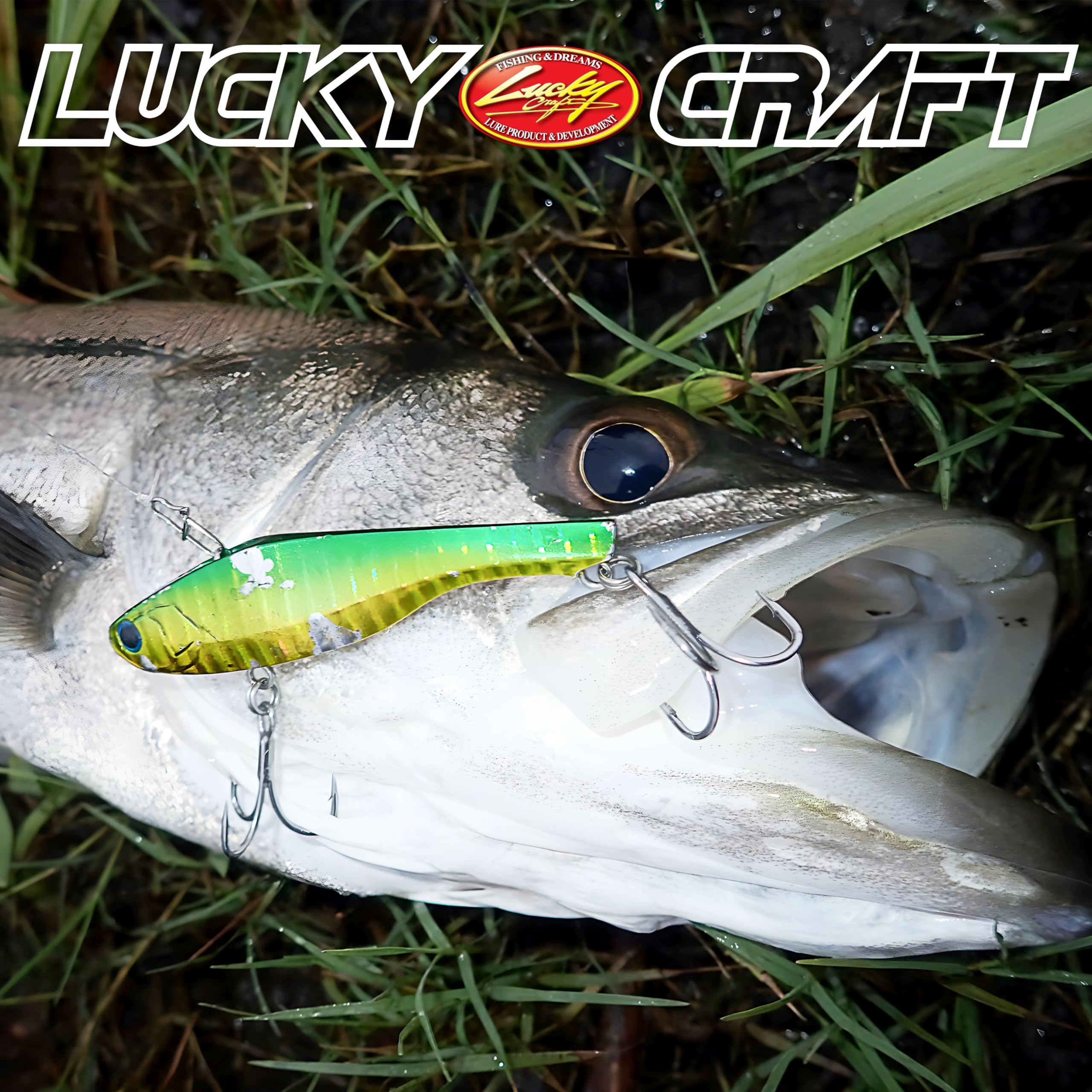 Amazon | ラッキークラフト(LUCKY CRAFT)バリッド70 15G - 定番カラー
