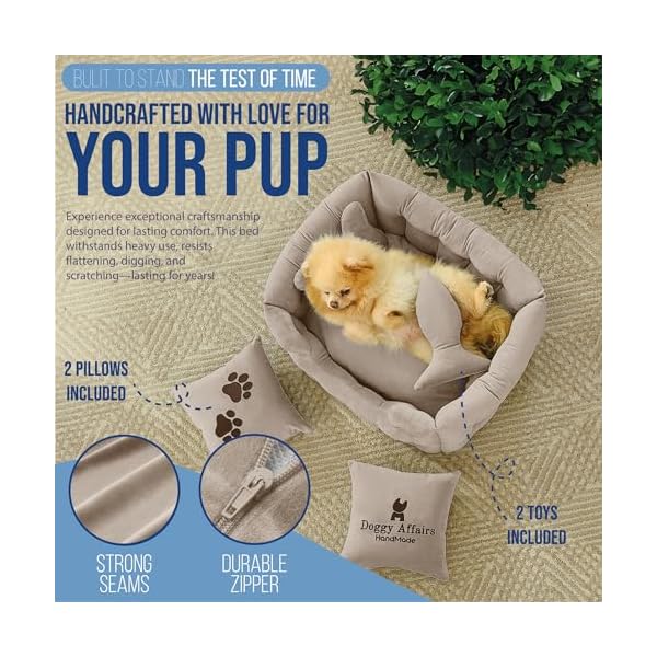   Luxury-Dog-Beds-for-Small-Dogs-and-Cats-Extra-Small-Dog-Bed-with-Removable-Washable-Cover-Fancy-Pet-Bed-Premium-Dog-Couch-Bed-Non-Slip-Pet-Sofa-XS-Puppy-Bed