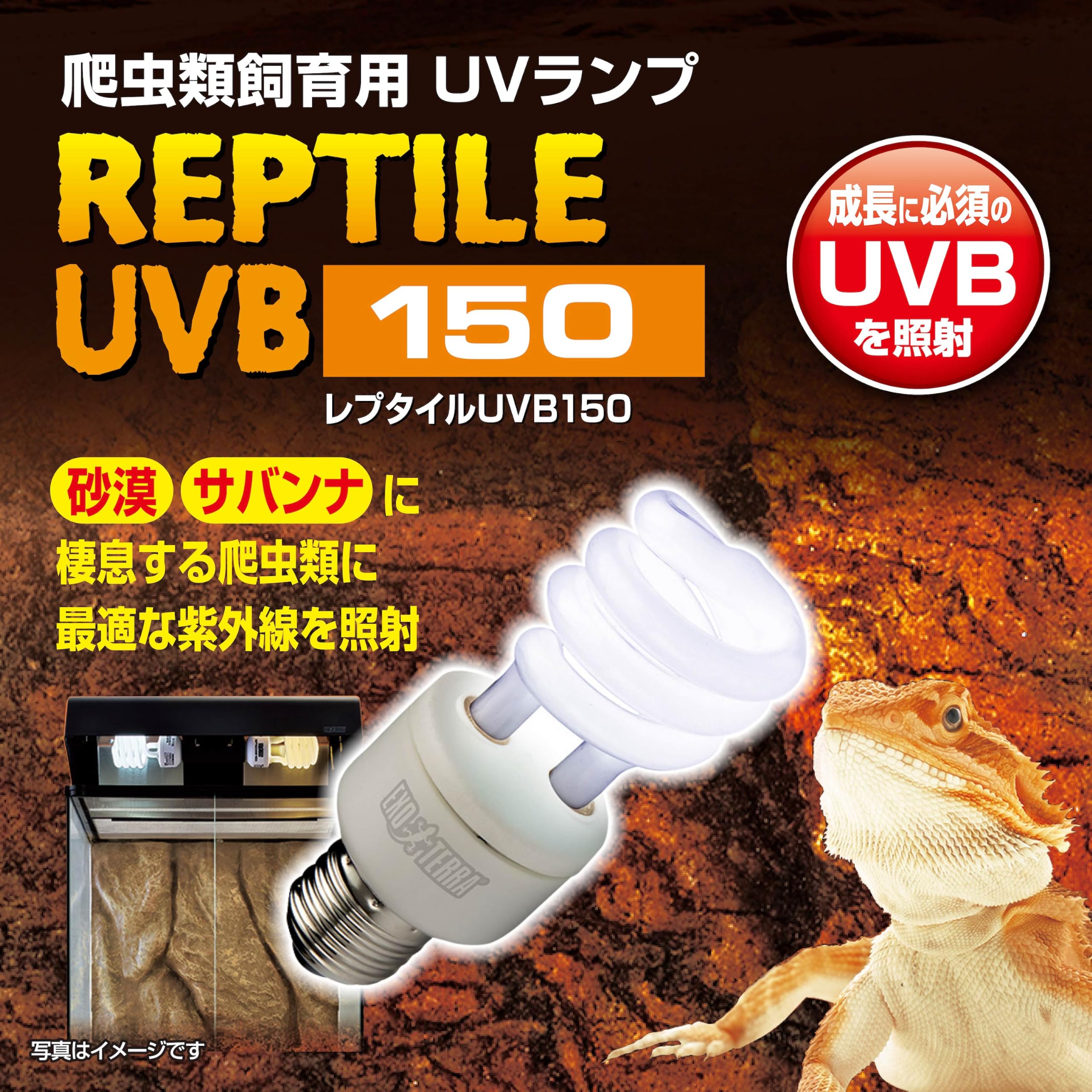 Amazon | GEX EXOTERRA レプタイルUVB150 13W PT2188 砂漠サバンナ