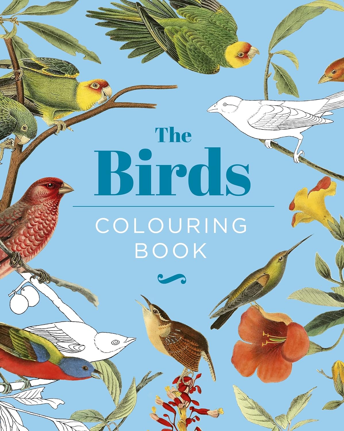 The Birds Colouring Book: Hardback Gift Edition (Hardback Vintage ...