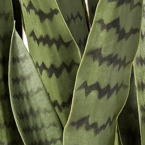 Miniatura 9 de Nearly Natural Sansevieria - Plantas artificiales de seda de 46 pulgadas, color verde