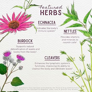 WishGarden Herbs Daily Immune Builder, Organic Elderberry & Astragalus, Liquid Immune Support Tincture, Echinacea, Cleavers, Burdock, Gluten-Free, Vegan, Adult Formula, 4oz