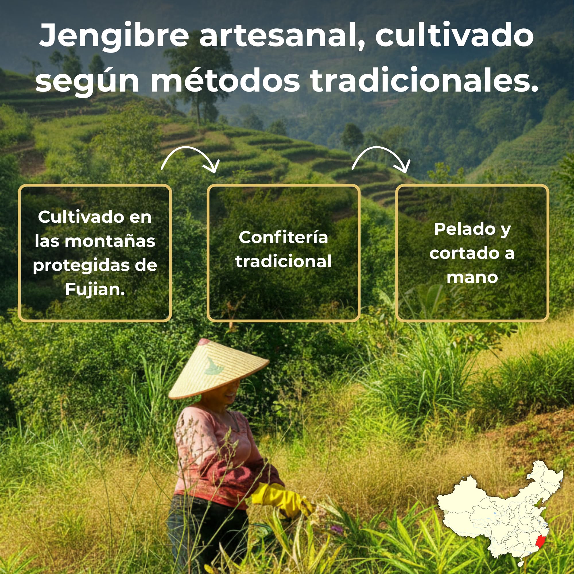 MA bio-épicerie - Jengibre Confitado Ecológico en Láminas 440 g - Jengibre Deshidratado a Granel sin Conservantes - Fruta Confitada Eco para Cocina y Degustación