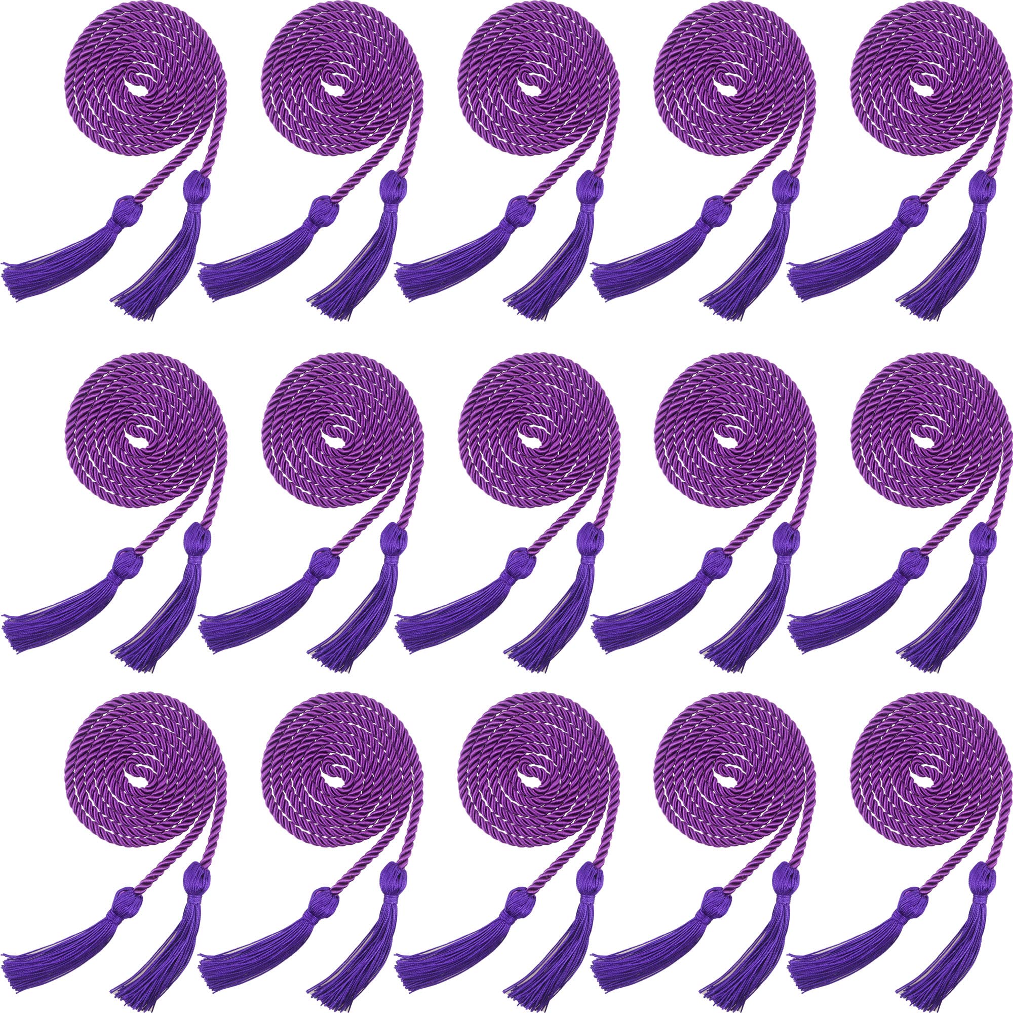 Cordon tressé violet de diplôme aux finitions soignées pour costume académique