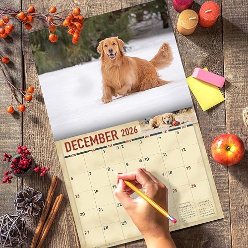 Miniatura 5 de The KING Company-Monster Calendars - Calendario de pared 2026 de 16 meses, tamaño XL, 14 x 22 pulgadas, calendario de perro retriever