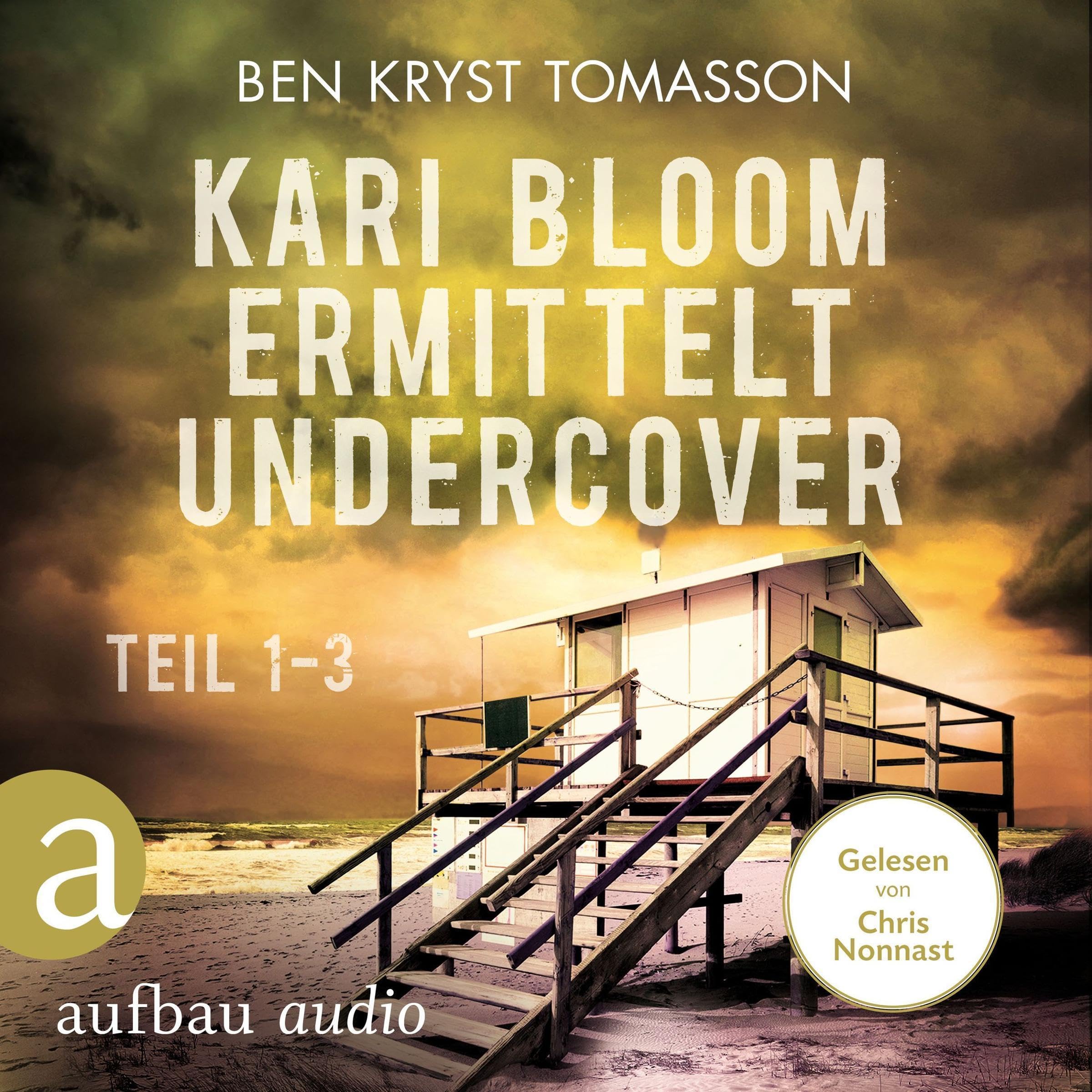 Cover art for Kari Blom ermittelt undercover - Teil 1-3