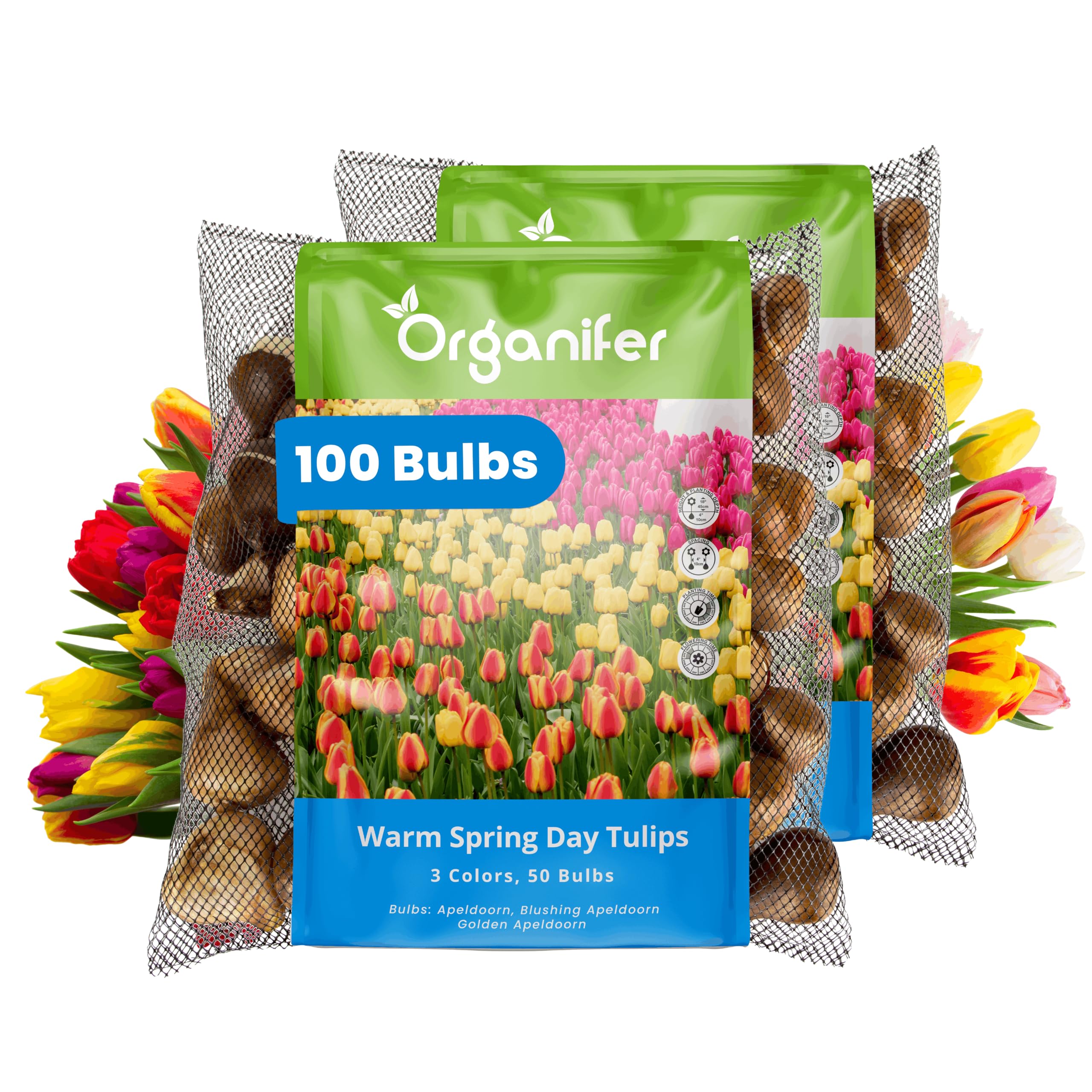Tulpenzwiebeln Warm Spring Day 100 Zwiebeln - Organifer