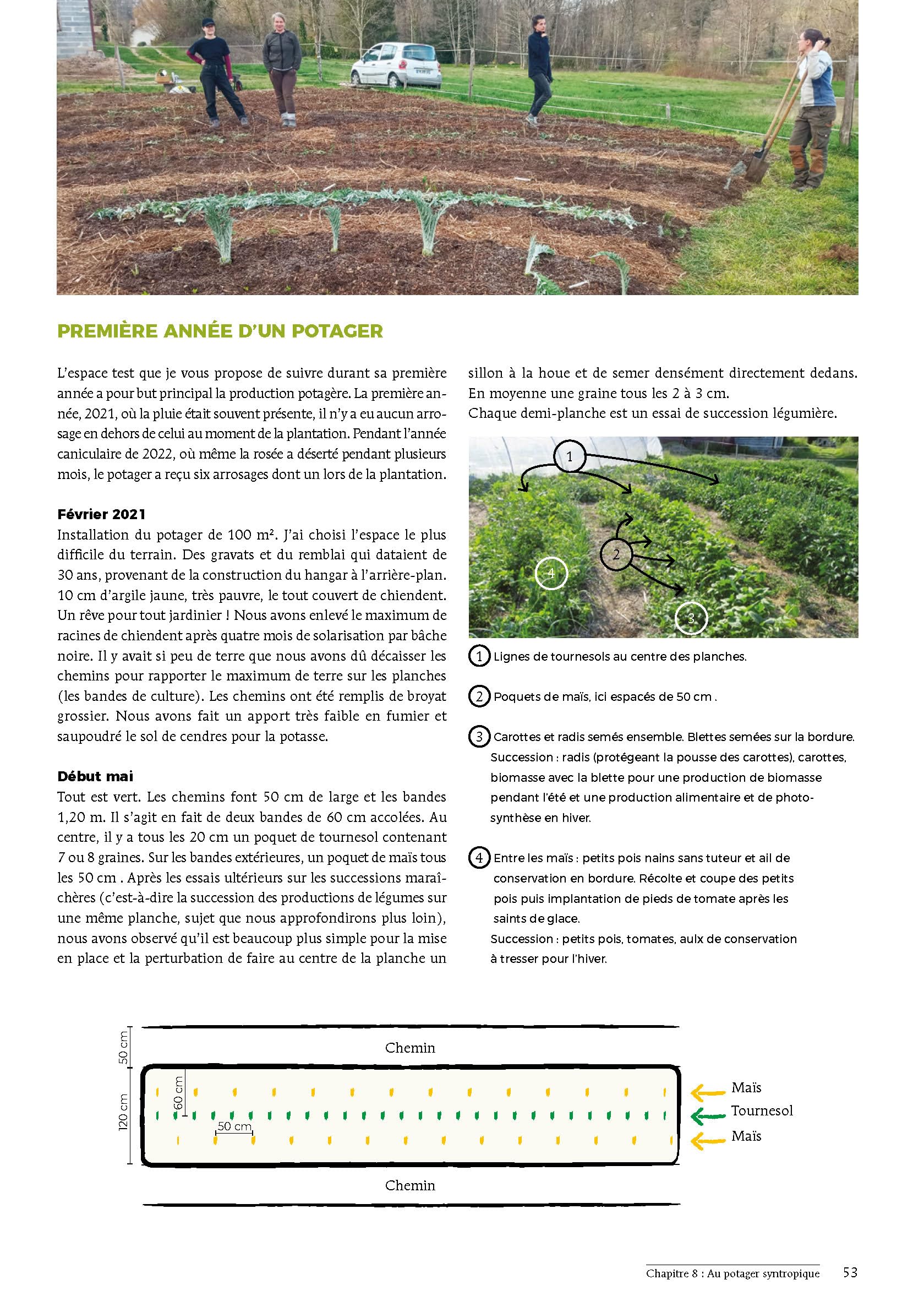 Bienvenue en syntropie: Un jardin d'abondance, des principes au terrain