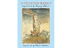 The Velveteen Rabbit Original Book by Margery Williams and the Plush Stuffed Animal