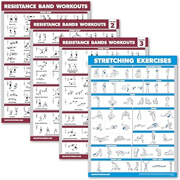 Palace Learning 4 Pack - Resistance Bands Workout Posters Volume 1, 2 & 3 + Stretching Exercise Chart Laminated, 18" x 24"