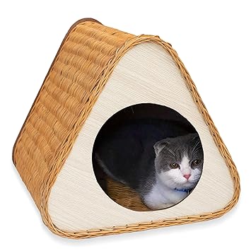 cat cave amazon