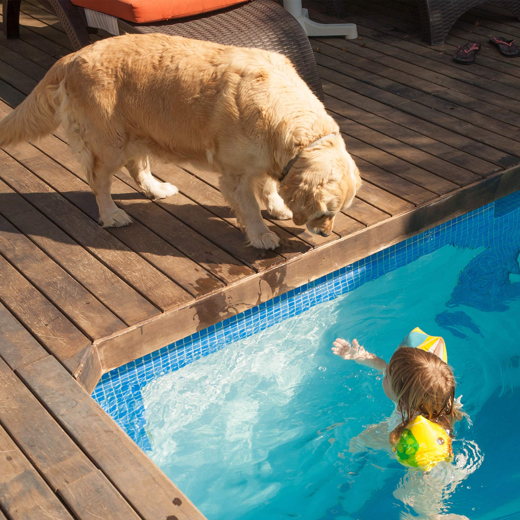 PETMAKER Cama Impermeable de Espuma viscoelástica para Mascotas, Cama para Perros para Interiores y Exteriores, con Parte Inferior Antideslizante Resistente al Agua y Funda extraíble Lavable, 30 x 21