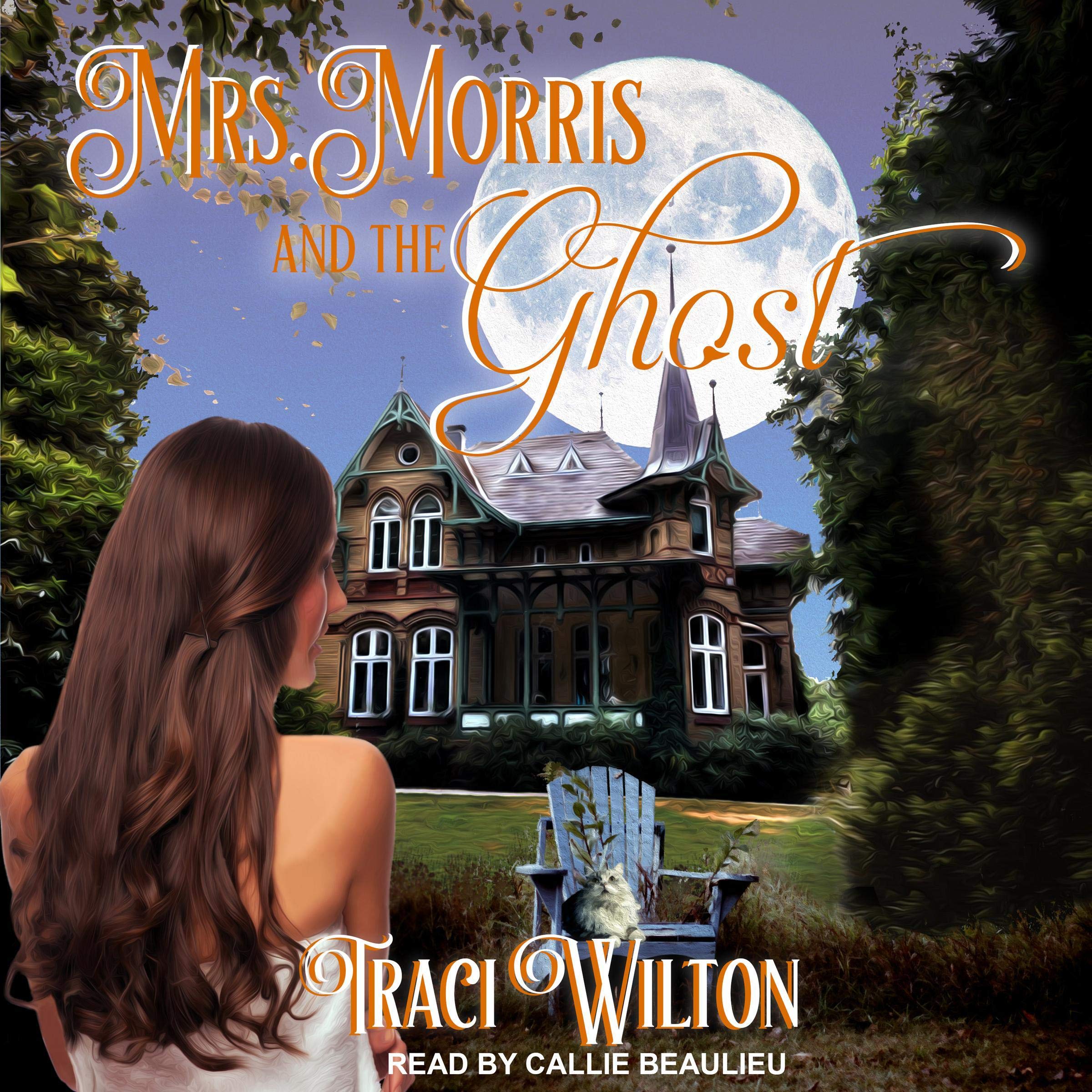 Cover art for Mrs. Morris and the Ghost
