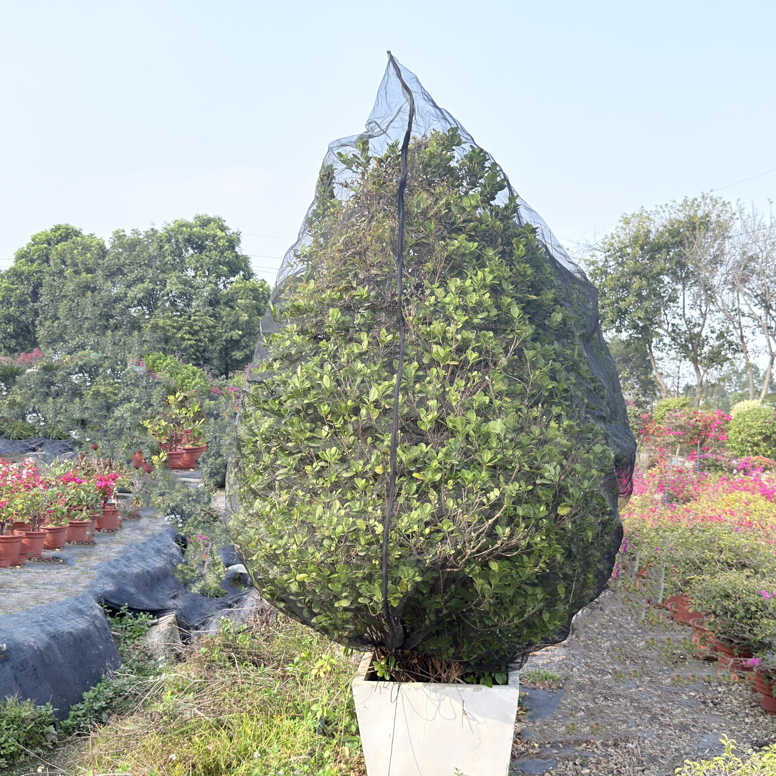 View 7