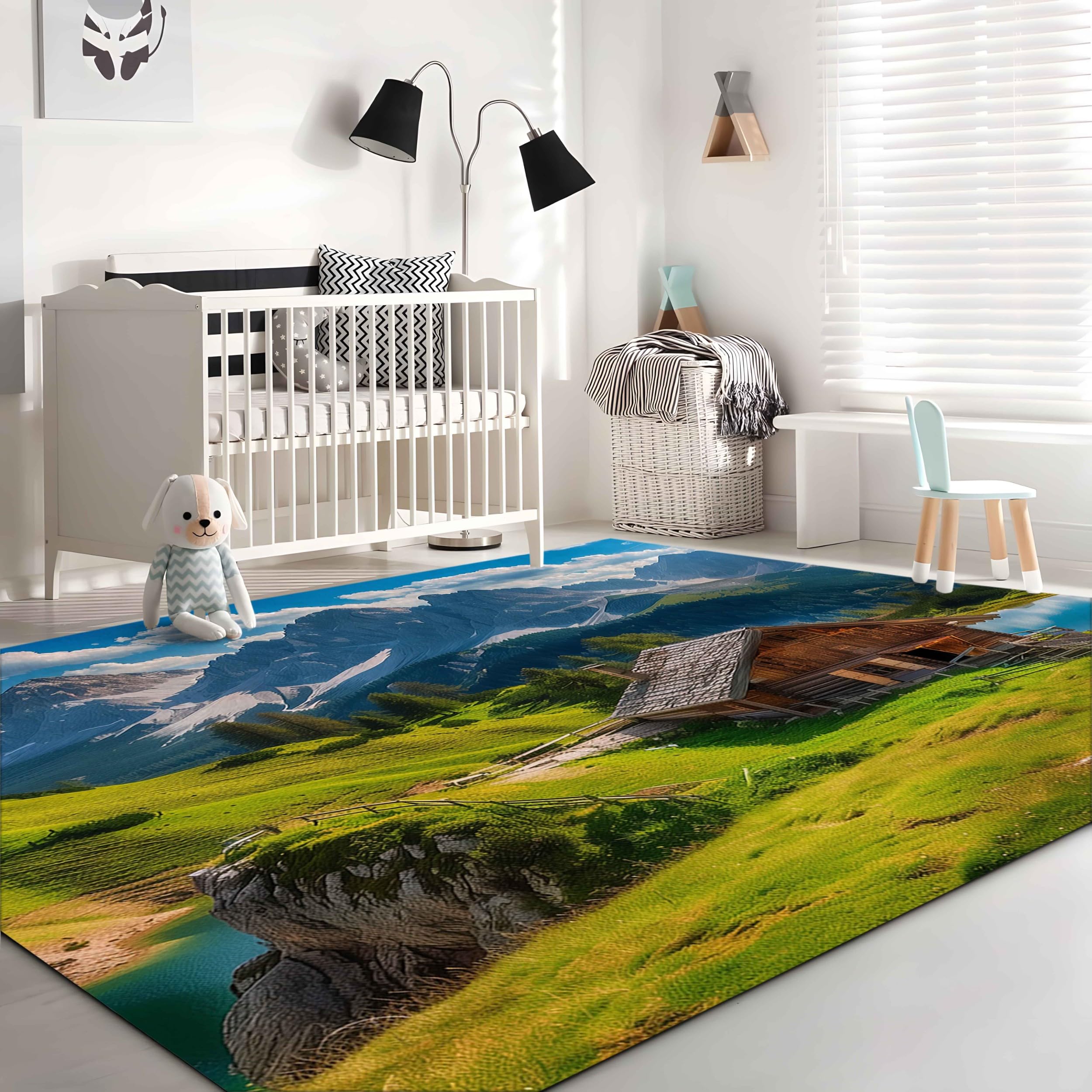 Amazon.com: Area Rugs 4ft x 6ft for Living Room - Area Rug