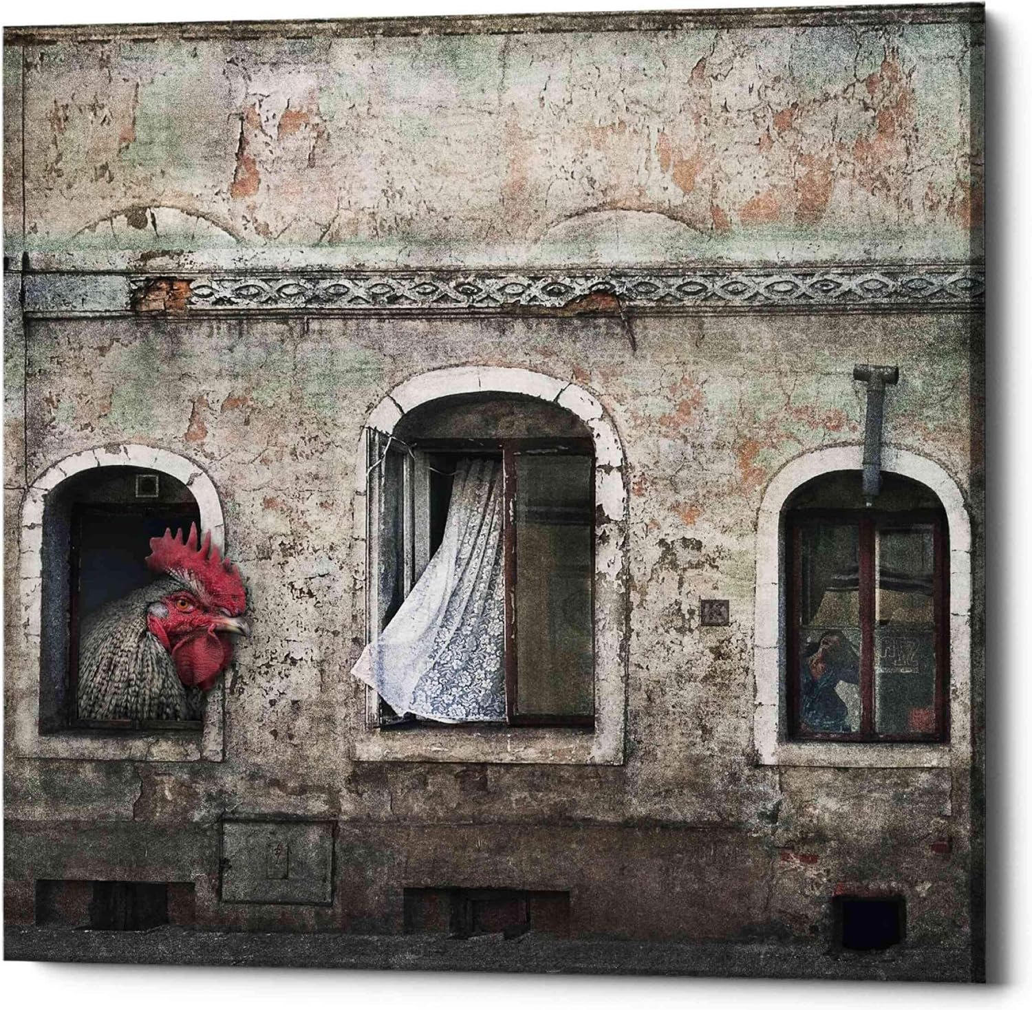 Epic Graffiti 'Kogut Domowy' by Dariusz Klimczak, Canvas Wall Art, 12"x12"