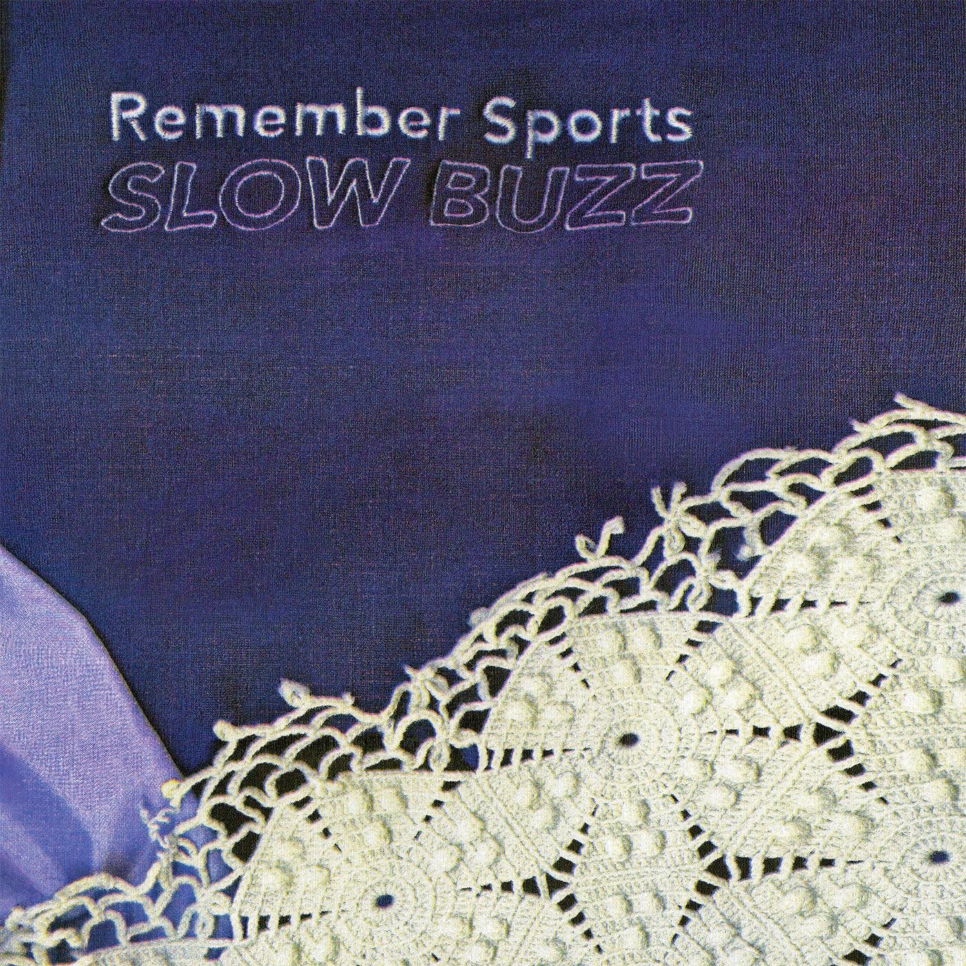 Slow Buzz [VINYL]